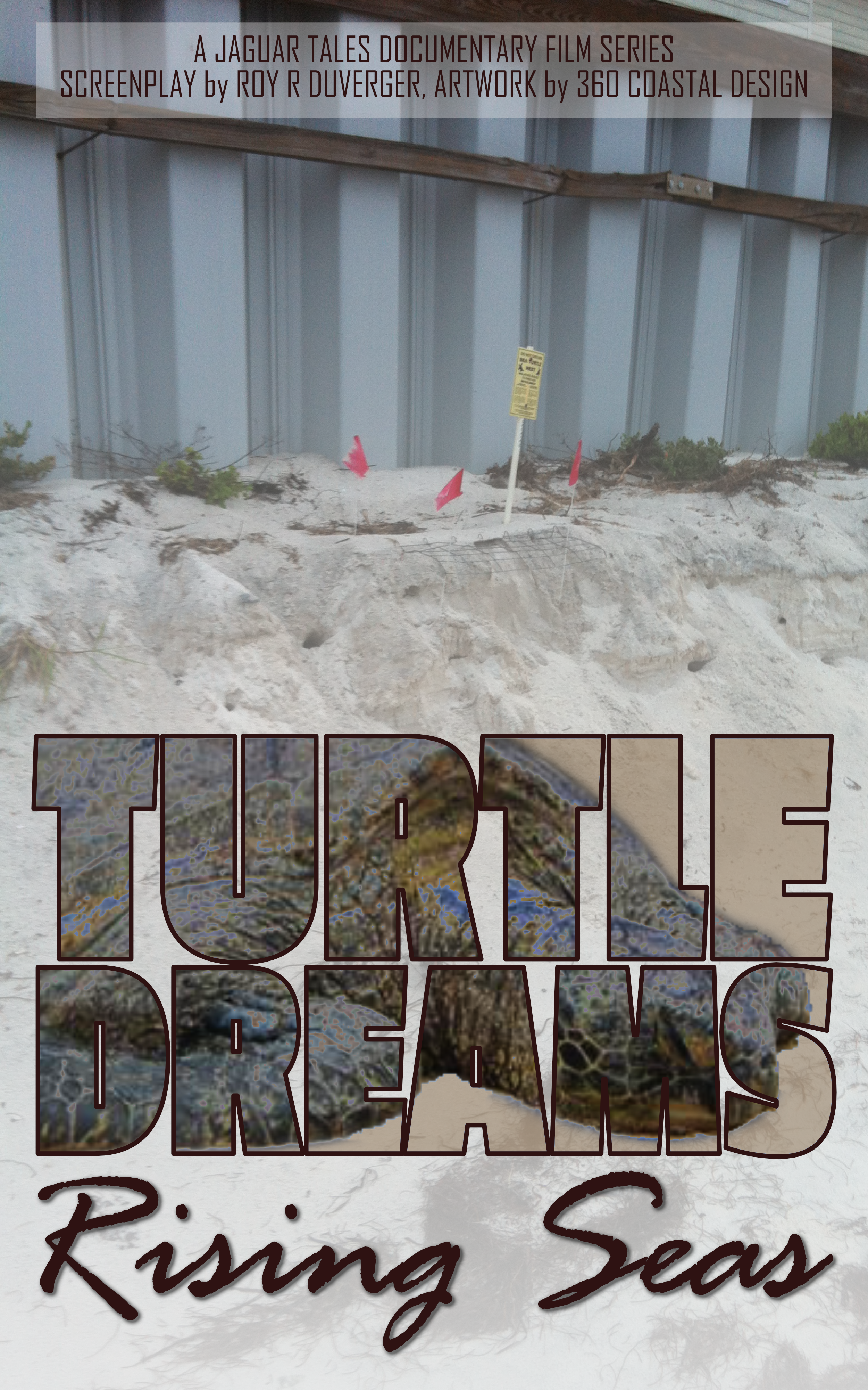 Turtle Dreams Rising Seas